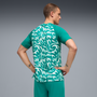 Puma Men's Portugal Green Warm-Up Jersey