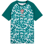 Puma Youth Portugal 2026 Green Warm-Up Jersey