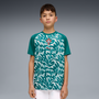 Puma Youth Portugal 2026 Green Warm-Up Jersey