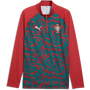 Puma Men's Portugal Red Quarter-Zip Top