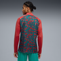 Puma Men's Portugal Red Quarter-Zip Top