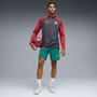 Puma Men's Portugal Red Quarter-Zip Top
