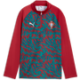 Puma Youth Portugal Red Quarter-Zip Training Top
