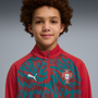Puma Youth Portugal Red Quarter-Zip Training Top