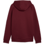 Puma Men's Portugal PUMATECH Hoodie