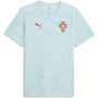 Puma Men's Portugal Football Culture All Over Print Tee