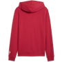 Puma Men's Portugal Football Culture Hoodie