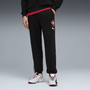 Puma Men's Portugal Football Culture Pants