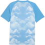 Puma Manchester City Pre-Match Jersey