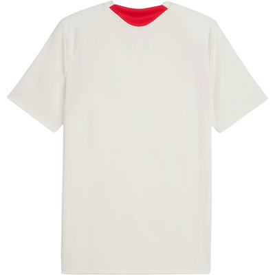Puma AC Milan Men’s Training Jersey