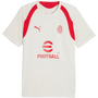 Camiseta de entrenamiento Puma AC Milan - Gris Vapor