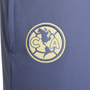 Nike Club América Academy Pro Pant