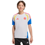 Camiseta de entrenamiento adidas Colombia Tiro 26 para jóvenes
