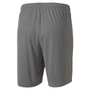 Puma TeamGoal 23 Knit Short