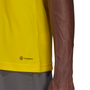 Camiseta adidas Entrada 22