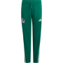 adidas Mexico Youth DNA Pant