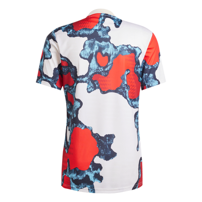 adidas Bayern Munich 2024-25 Men's Pre-Match Jersey