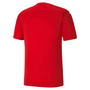 Camiseta gráfica Puma TeamFinal 21