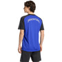adidas Men's Argentina Away Pre-Match Jersey