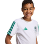 Camiseta adidas México ADN juvenil