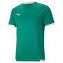 Puma Team Liga 25 Jersey