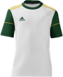 Camiseta personalizada adidas Squadra 17