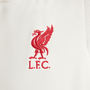 Nike Liverpool FC Youth Strike Dri-FIT Training Top