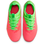 Nike Youth Phantom 6 Low Academy EH FG MG - Haaland Player Edition