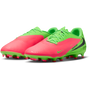 Nike Phantom 6 Low Academy EH FG MG - Haaland Player Edition