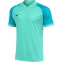 Camiseta Nike Dri Fit Trophy VI MC