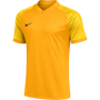 Camiseta Nike Dri Fit Trophy VI MC