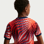 Nike Youth Norway Dri-FIT Pre-Match Short Sleeve Top