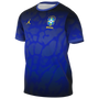 Nike Brasil Futebol x Jordan Academy Pro Men's Short Sleeve Pre-Match Top