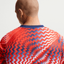 Nike Mens Norway Academy Pro Pre-Match Short Sleeve Top