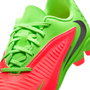 Nike Youth Phantom 6 Low Club EH FG MG - Haaland Player Edition