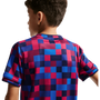 Nike FC Barcelona Youth Home Pre-Match Top
