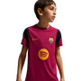 Nike Barcelona Youth Short Sleeve Strike Top