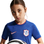 Camiseta Prematch Nike Chelsea Tercera Joven Rush