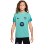 Nike FC Barcelona Youth 3rd Strike Short Sleeve Top
