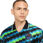 Nike Inter Milan Mens Energy Jersey