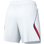 Nike Chivas 2026-27 Men's Away Stadium Shorts