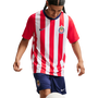 Nike Chivas Men's Home Football Top Crew Jersey