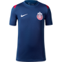 Nike Chivas Youth Academy Pro Knit Short-Sleeve Top