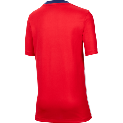 Nike Chivas Youth Home Football Top Crew Jersey