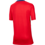 Nike Chivas Youth Home Football Top Crew Jersey