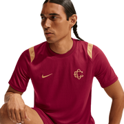Nike Chivas 2026/27 Men’s 3rd Academy Pro Top
