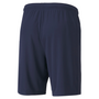 Puma TeamGoal 23 Knit Short