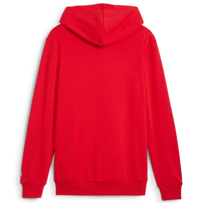 Puma Chivas Men's Ftbl Culture Hoodie