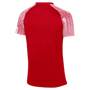 Camiseta Nike Dri-Fit de manga corta Academy
