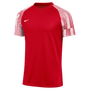 Camiseta Nike Dri-Fit de manga corta Academy